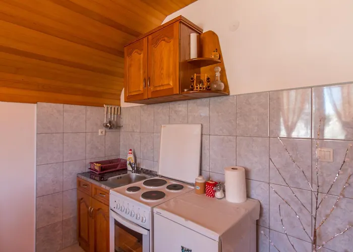 Kod Goluba Na Tari *