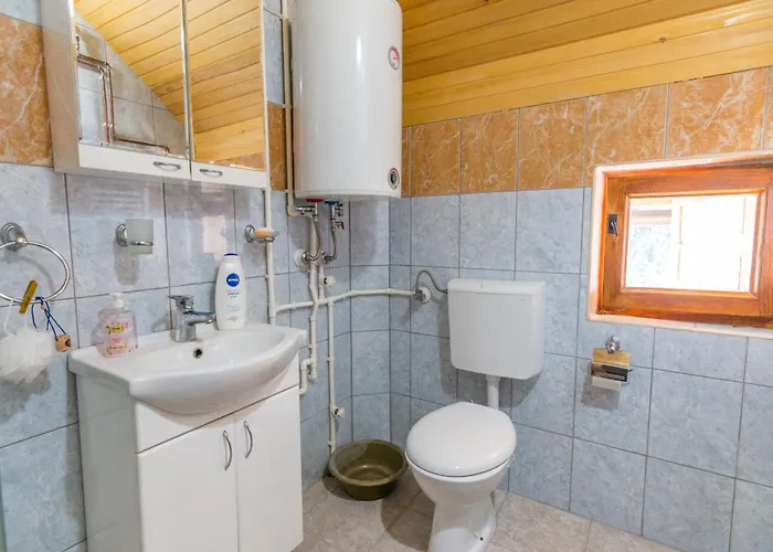 Kod Goluba Na Tari *